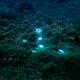 Illustration for article titled Glowing text messages spill out into the real world